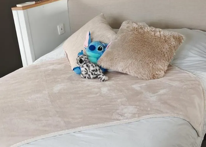 6 Personnes Corse Du Sud ヴィラ