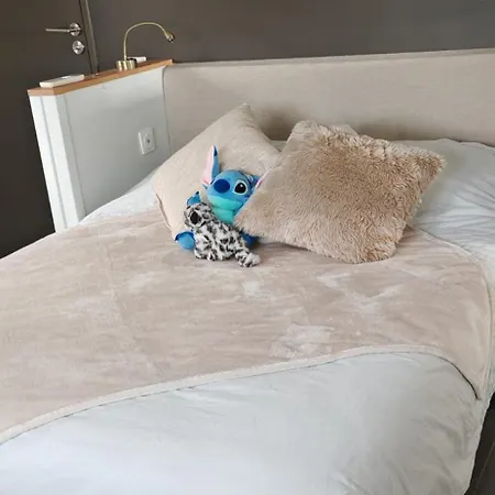 6 Personnes Corse Du Sud Villa