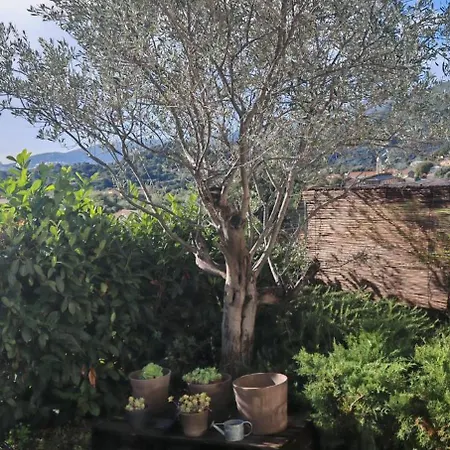 6 Personnes Corse Du Sud