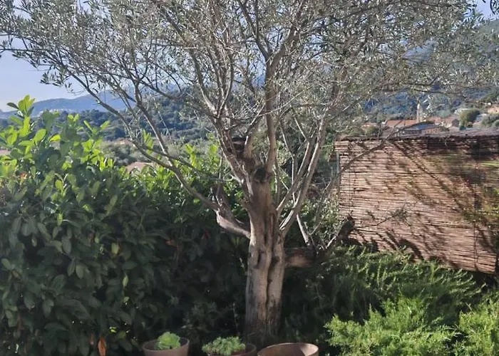 6 Personnes Corse Du Sud